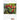 ABC Heilpflanzen - Kalender 2026 B2B moin Kalender