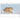 Erlebte Wildnis - Kalender 2026 B2B moin Kalender