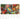 Save the Planet - Kalender 2026 B2B moin Kalender