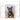 Hunde - Kalender 2026 B2B moin Kalender