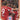FC Bayern Munich - Calendar 2026