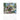 Blumen 2026 - Wandkalender 2026 KFP-B2C Alpha Edition