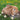 Kaninchen - Kalender 2026 KFP-B2C Alpha Edition
