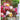 Bouquets - Kalender 2026 KFP-B2C NEUMANN