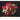 Geliebte Rosen - Kalender 2026 KFP-B2C DUMONT