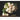 Geliebte Rosen - Kalender 2026 KFP-B2C DUMONT