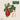 Fruits - Kalender 2026 KFP-B2C DUMONT