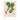 Alte Obstsorten - Kalender 2026 KFP-B2C DUMONT