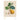 Alte Obstsorten - Kalender 2026 KFP-B2C DUMONT