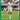 Werder Bremen - Calendar 2026