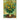 Claude Monet - Kalender 2026 B2C Alpha Edition