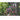 Blumenpracht - Kalender 2026 KFP-B2C Alpha Edition