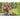 Blumenpracht - Kalender 2026 KFP-B2C Alpha Edition