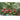 Gartenparadiese - Kalender 2026 KFP-B2C Alpha Edition