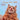 Funny Cats 30x30 - Kalender 2026 KFP-B2C Alpha Edition