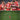 FC Bayern Munich - Calendar 2026