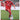 Fortuna Düsseldorf Calendar 2026